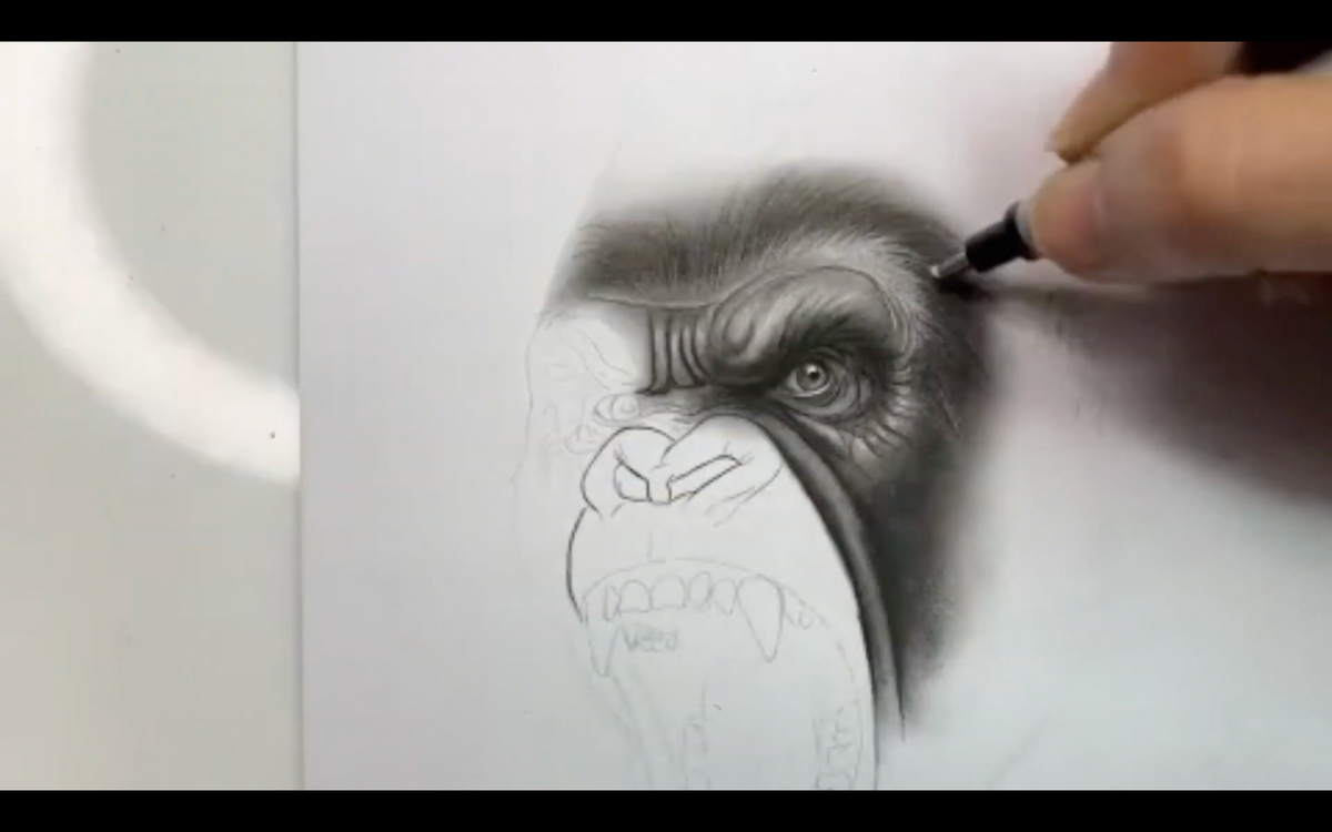 From Sketch To Stencil